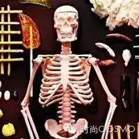 吃货们这里有你至今没尝过的美味零食