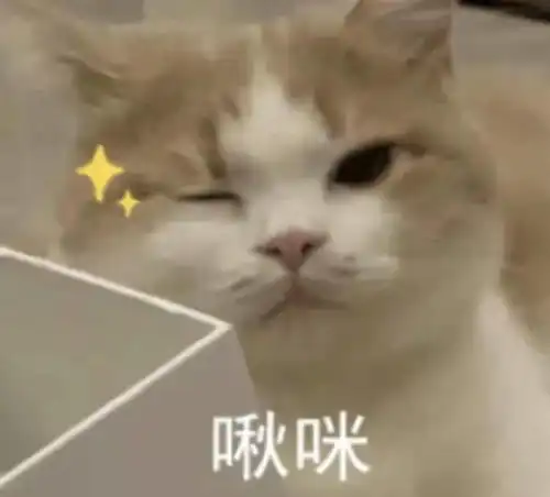 接受落叶和降温的风