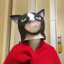 壁纸跟我在一起吧