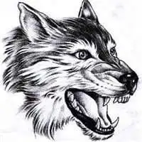 霸气孤独狼大图片头像微信头像图片大全