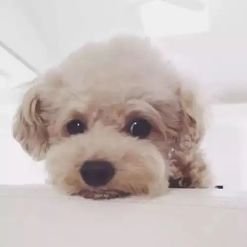 男的做着情侣的事情,却关系不确定