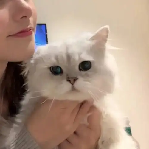 情侣头像涉黄的情侣头像动漫一对0608期