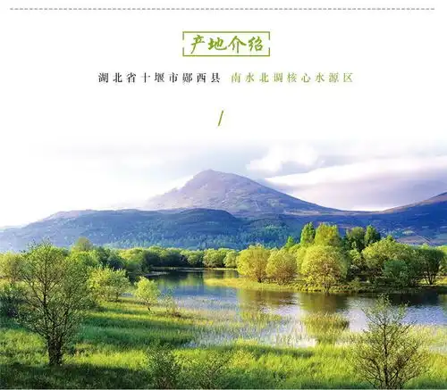 郧星葛粉挂面5公斤礼盒装葛粉面条葛根面条葛根粉挂面湖北十堰特产郧西特产包邮葛根面5公斤礼