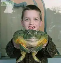 百年成妖,千年成精看看这些妖精图片