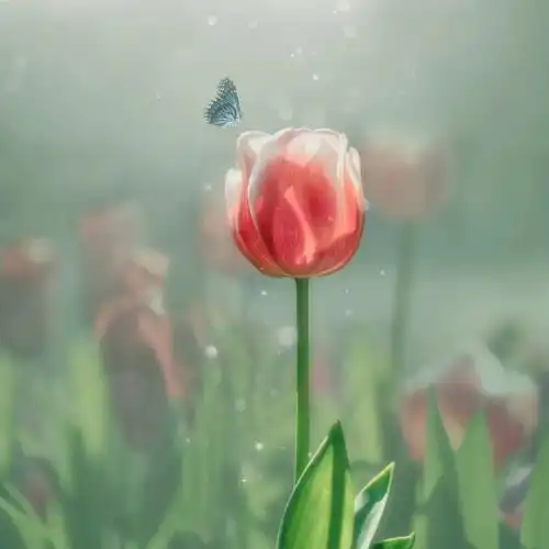 比努力吧更励志的20个文案