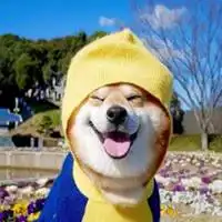 柴犬治愈系微笑头像高清头像柴犬治愈系笑容图片头像