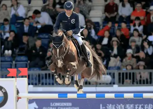 志愿者工作一波三折,马术少女参报东奥只为备战冬奥