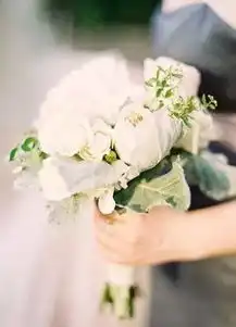 全东莞最靓最浪漫的婚姻登记处,即日起面向全市情侣开放