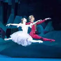 洁白舞裙芭蕾舞蹈头像女生微信头像图片大全