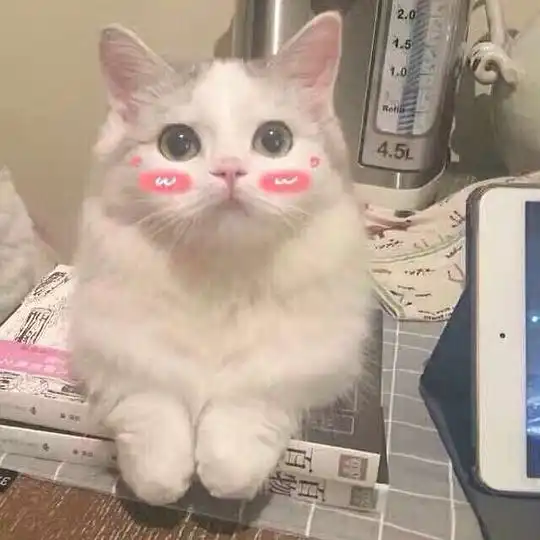 微蓝的相册小动物