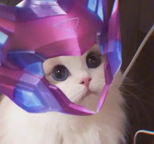 王者荣耀五黑猫咪头像王者荣耀五黑猫咪接头头像快吧手游