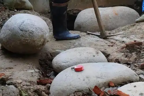 花7000元改造的小院太好看了,20天摇身一变,成了治愈系花园