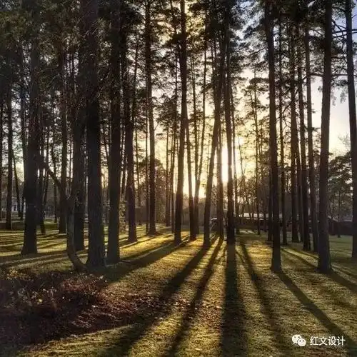 10个简单技巧就能拍出高逼格及简单10招拍出好照片