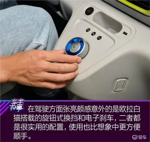 猫系青年的欧拉白猫深度吸猫指南