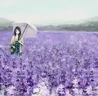 为什么戴蜜蜡的女人不能碰