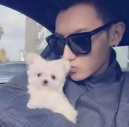 黄子韬恋情再曝石锤,与韩国绯闻女友同游东京,女方身材颜值逆天