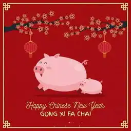 2019福满猪年