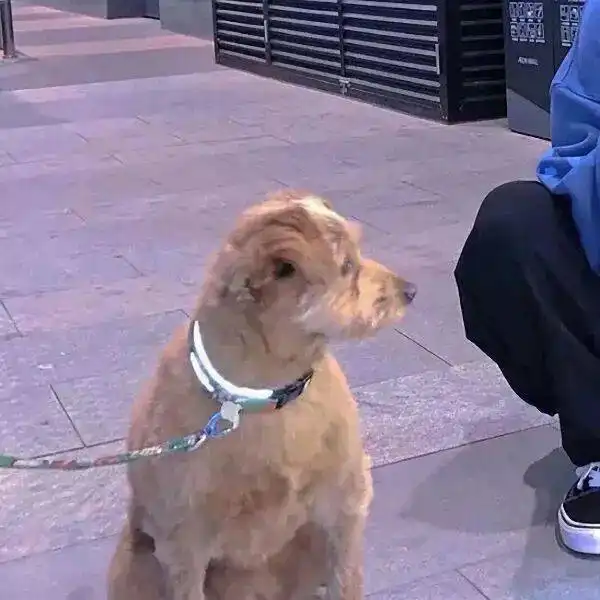 情头恋爱后知道了男朋友的哪些秘密