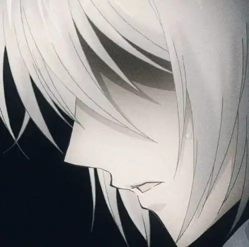 每一张都超帅的动漫男头