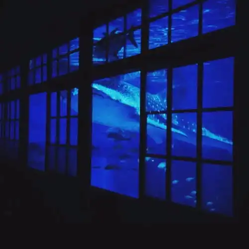 治愈系朋友圈背景图