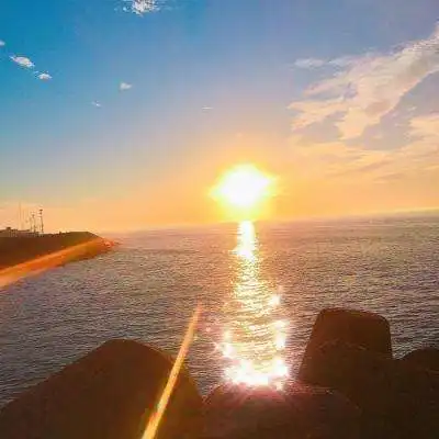 银河优越会体育下载链接