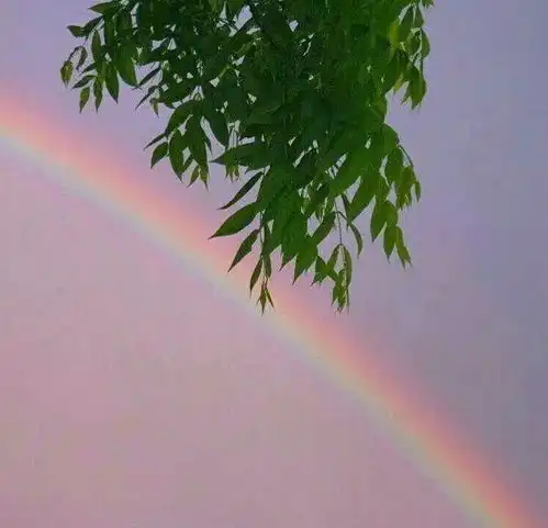 男生微信好运风水头像