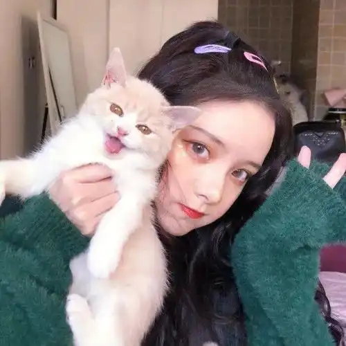 头像图片丨女生头像丨可爱的猫系女头1214