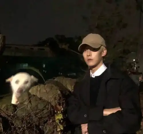 头像人类高质量男生头像