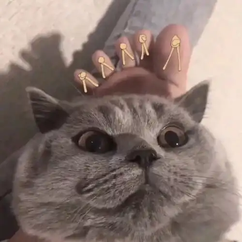 头像与甜相伴,与苦和解