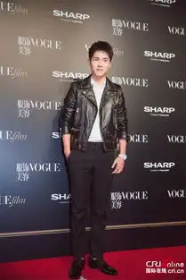 阳光美少男刘昊然黑色皮夹克搭白衬衣帅气亮相