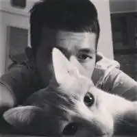 只为等锝爱情昙花一现