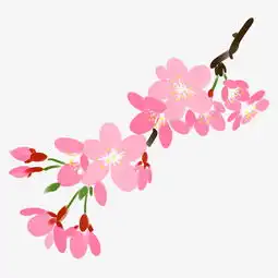 粉色的樱花装饰手绘图片素材其他格式下载动漫人物大全