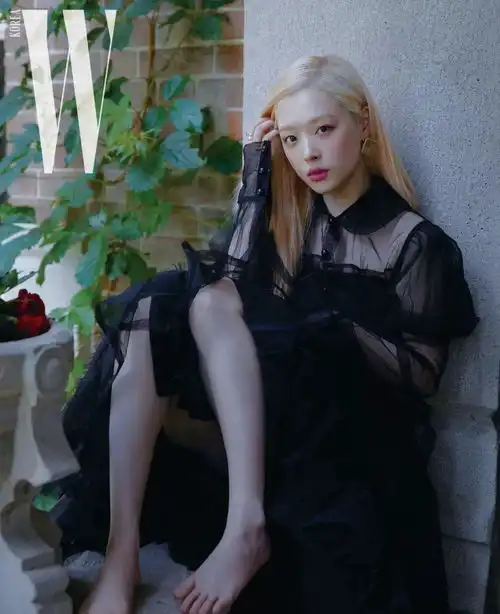 雪莉去世35天谩骂还没停键盘侠反怪雪莉太脆弱,说的话太可恨