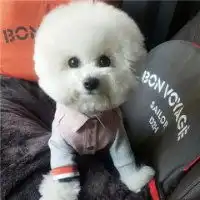 最火可爱微信头像微信可爱图片大全第3页潮人个性网