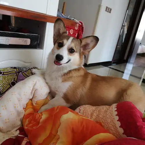 猫系女友真的绝了