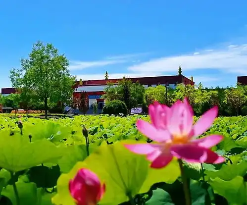 凉州会盟纪念馆荷你有约