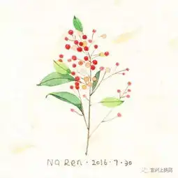 泡面吃了那么多年,你真的知道泡面怎么煮吗