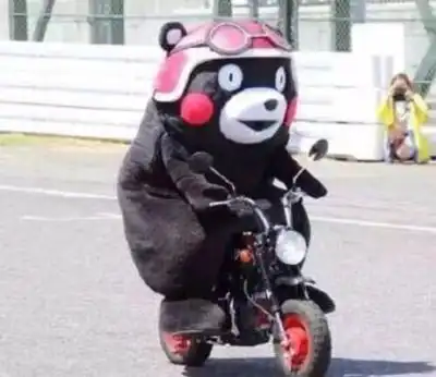 被迫合照的大爷,大爷逃不掉啊,那就笑一个吧