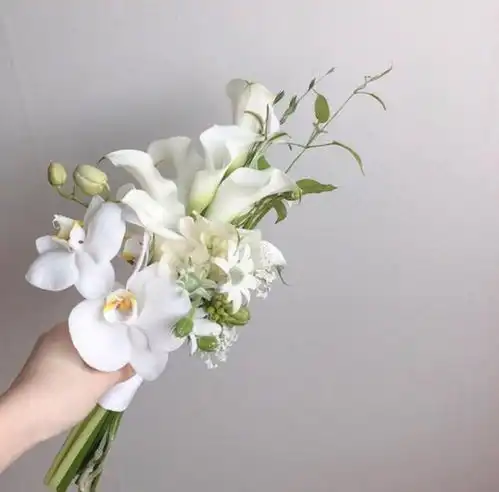 感悟人生哲理经典句子,让你终身受益