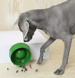 天了噜宜家要开宠物商场,北欧风猫主子家具real萌,简直无法抗拒......