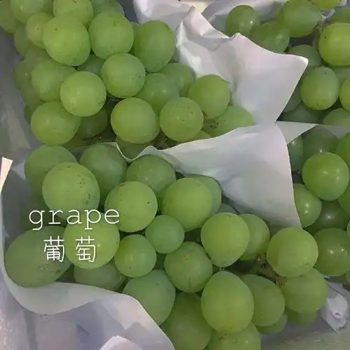 朋友圈背景图4.28