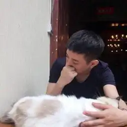 喵星人可爱情侣头像