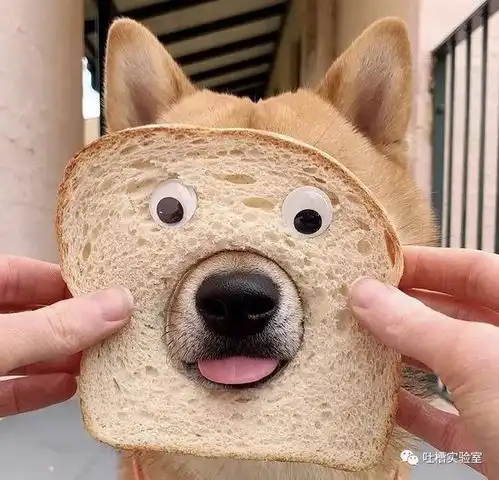 亲妹妹竟然找人在校门口打了我,我tm...