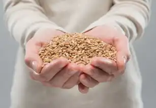 我科学家培育出抗旱转基因小麦