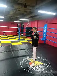 全民健身东北网小记者拳击体验活动开始啦