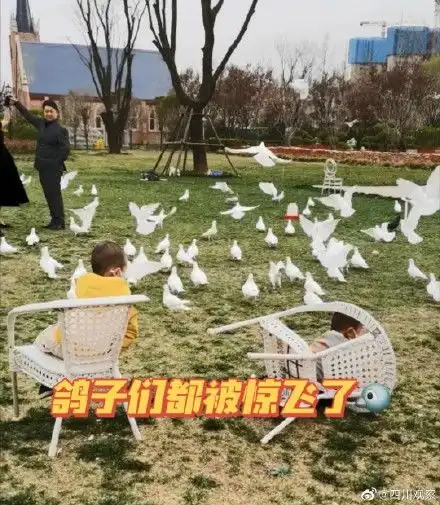 萌娃神助攻新人拍婚纱照
