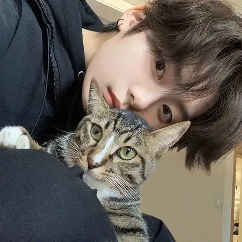 头像出神的那一刻风停了雨也安静了