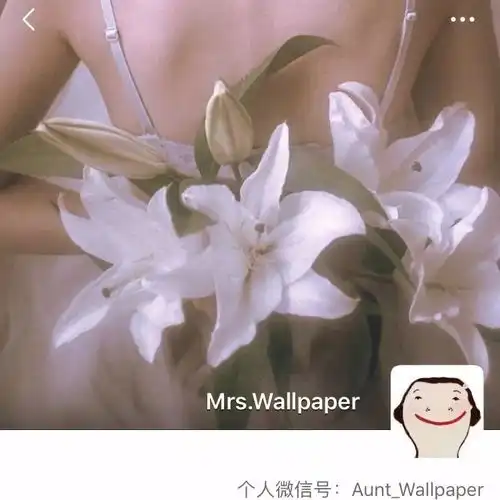 tp5保存图片背景黑色少女心背景图风环绕世界百圈,不如见你时心动