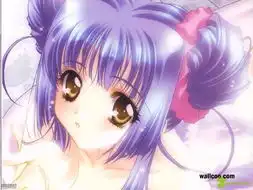 汕头人才求职首选网站网络现场报纸视频四合一招聘渠道