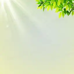 绿色清新主图背景图片素材免费下载清新背景800800像素熊猫办公